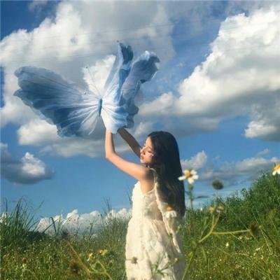 十七年命运周期