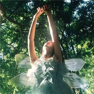 龙门驿站之狼武士